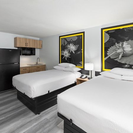 Econo Lodge Inn&Suites Alexandria Esterno foto