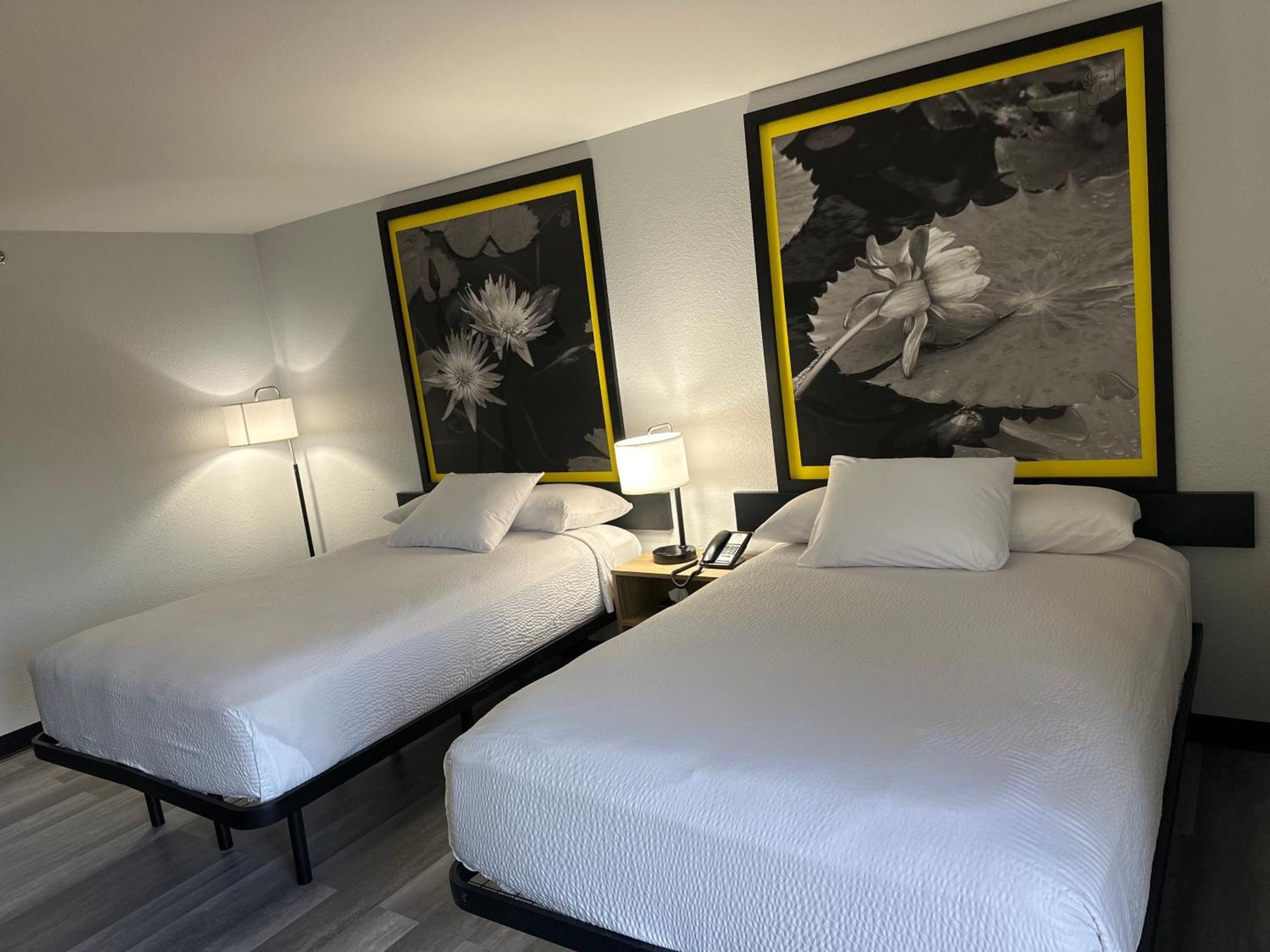 Econo Lodge Inn&Suites Alexandria Esterno foto