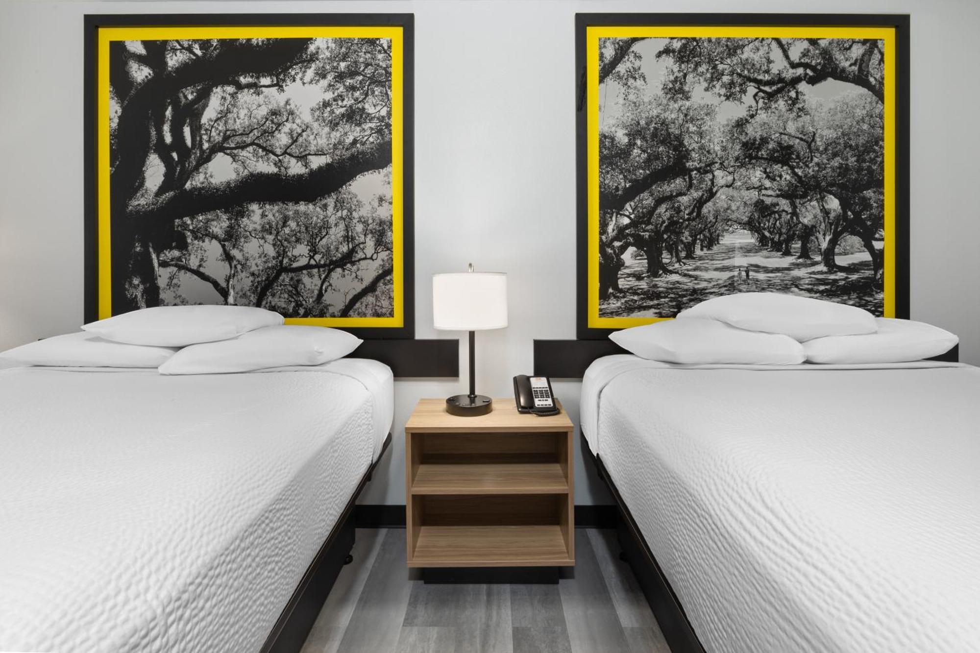 Econo Lodge Inn&Suites Alexandria Esterno foto